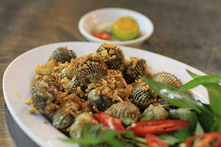 sinh-luc-phai-manh-1 (1)
